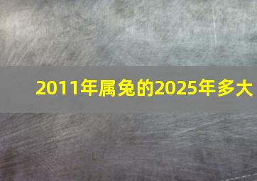 2011年属兔的2025年多大