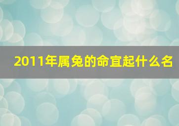 2011年属兔的命宜起什么名