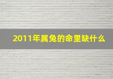 2011年属兔的命里缺什么