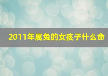 2011年属兔的女孩子什么命