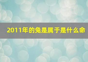 2011年的兔是属于是什么命