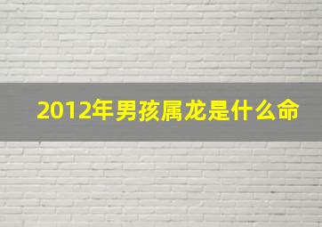 2012年男孩属龙是什么命