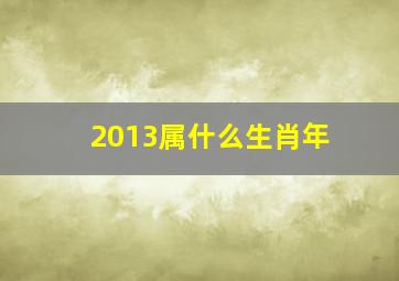 2013属什么生肖年