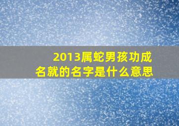 2013属蛇男孩功成名就的名字是什么意思