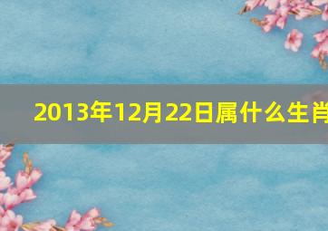 2013年12月22日属什么生肖