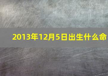 2013年12月5日出生什么命