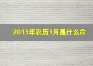 2013年农历3月是什么命