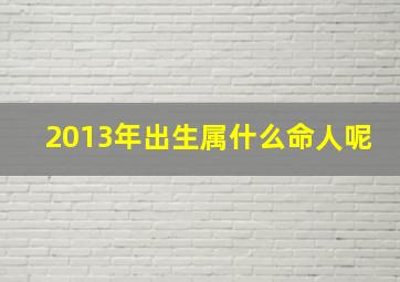 2013年出生属什么命人呢