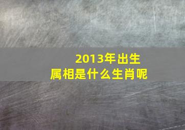 2013年出生属相是什么生肖呢