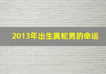 2013年出生属蛇男的命运