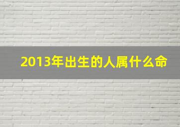 2013年出生的人属什么命