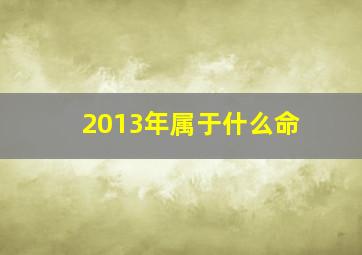 2013年属于什么命