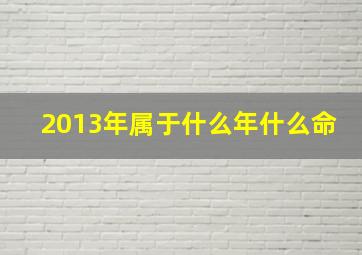 2013年属于什么年什么命