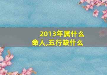 2013年属什么命人,五行缺什么