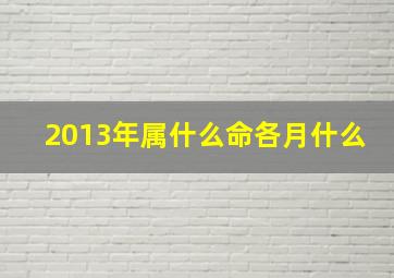 2013年属什么命各月什么