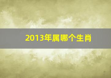 2013年属哪个生肖