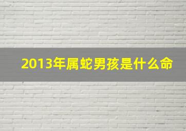 2013年属蛇男孩是什么命