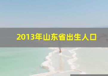 2013年山东省出生人口