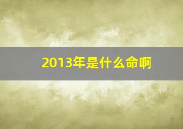 2013年是什么命啊