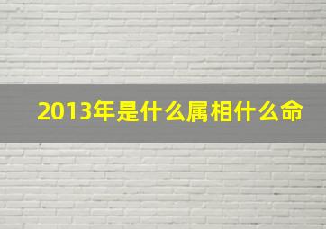 2013年是什么属相什么命