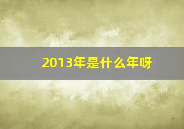 2013年是什么年呀