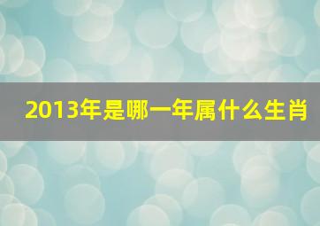 2013年是哪一年属什么生肖