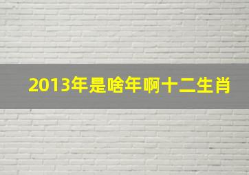 2013年是啥年啊十二生肖