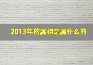 2013年的属相是属什么的