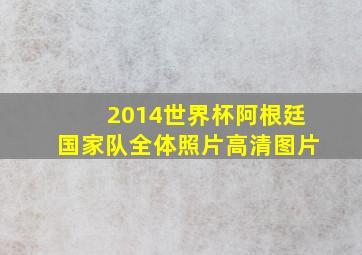 2014世界杯阿根廷国家队全体照片高清图片