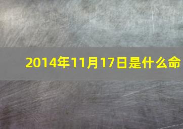 2014年11月17日是什么命