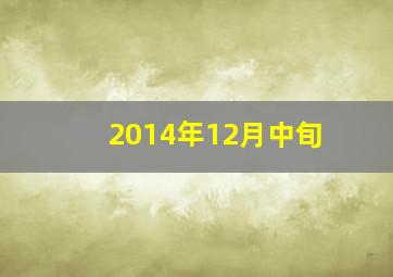 2014年12月中旬