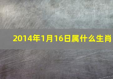 2014年1月16日属什么生肖