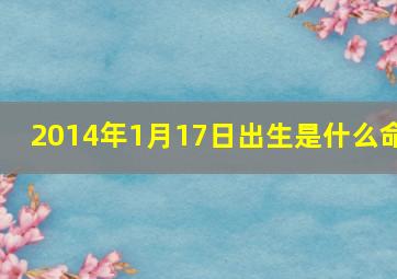 2014年1月17日出生是什么命