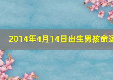 2014年4月14日出生男孩命运