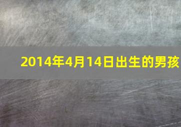 2014年4月14日出生的男孩