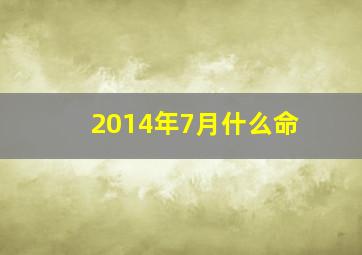 2014年7月什么命