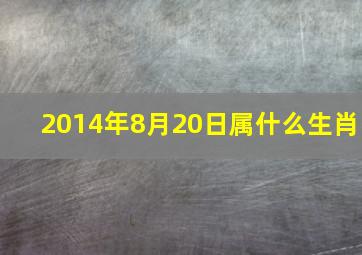 2014年8月20日属什么生肖