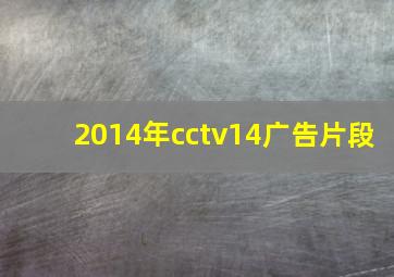 2014年cctv14广告片段