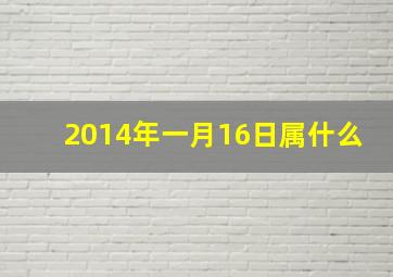 2014年一月16日属什么