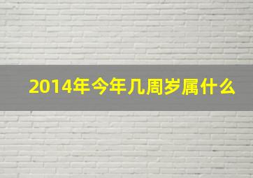 2014年今年几周岁属什么