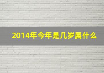 2014年今年是几岁属什么