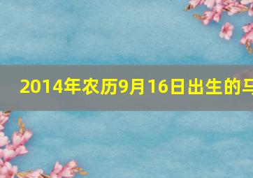 2014年农历9月16日出生的马