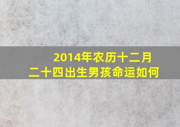 2014年农历十二月二十四出生男孩命运如何