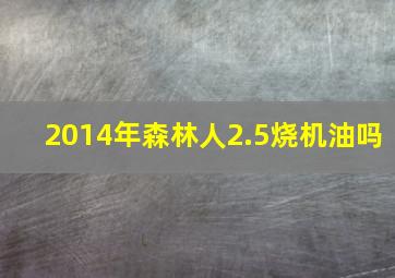 2014年森林人2.5烧机油吗