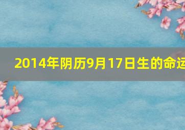 2014年阴历9月17日生的命运