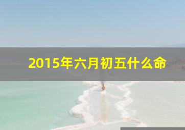 2015年六月初五什么命