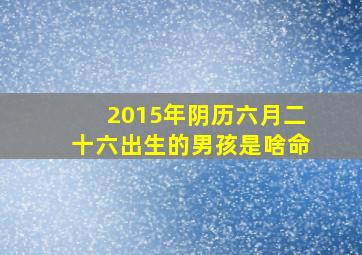 2015年阴历六月二十六出生的男孩是啥命