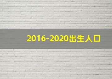 2016-2020出生人口