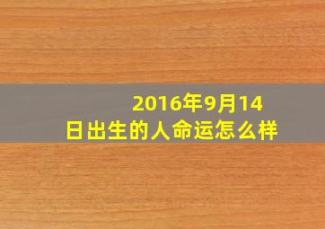 2016年9月14日出生的人命运怎么样