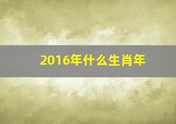 2016年什么生肖年